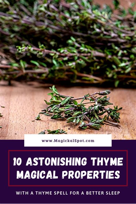The Mystical Charm of Thyme: Unveiling its Magical Properties